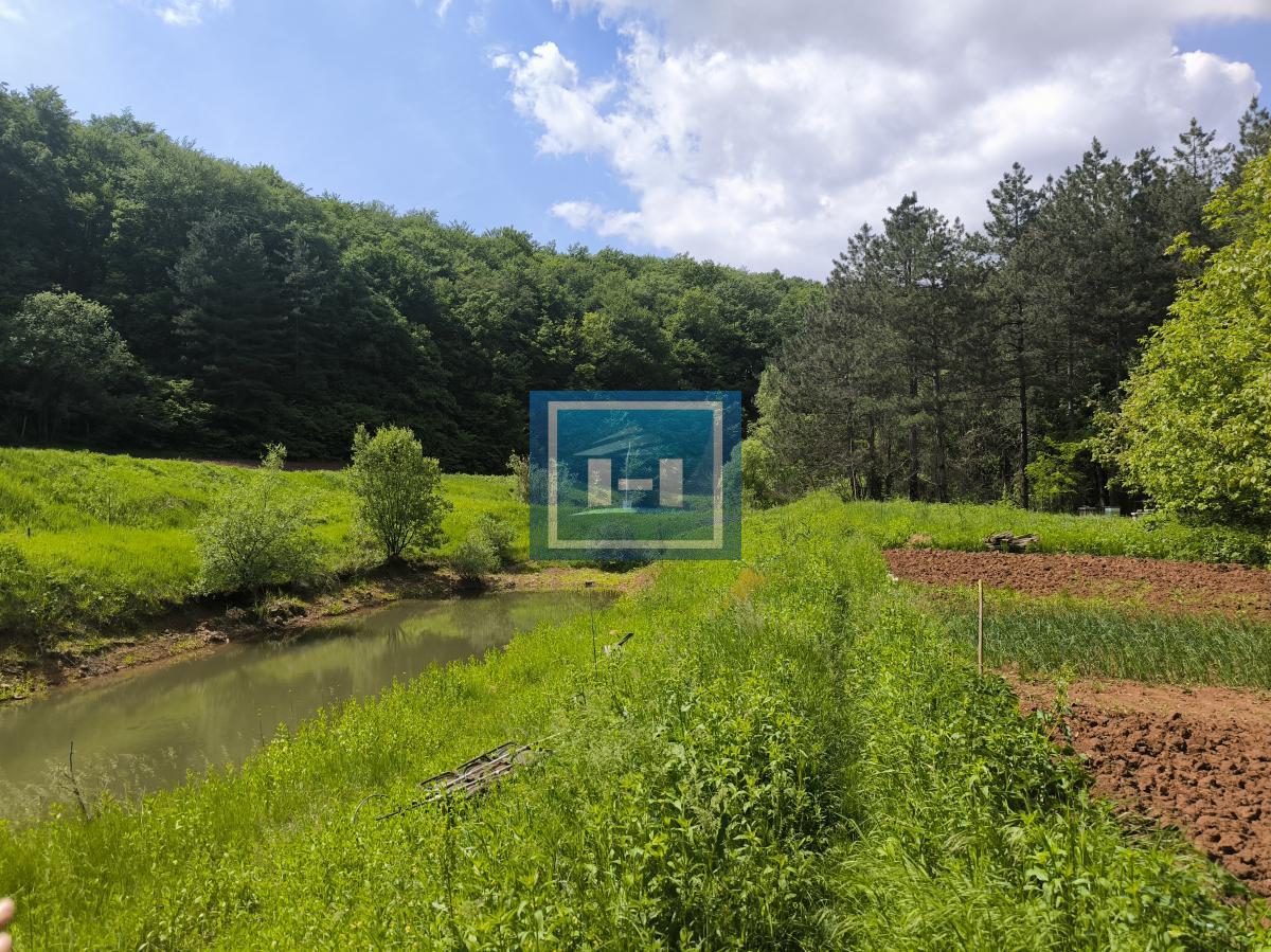 Kompletno opremljeno imanje 82 ara – dve kuće, bazen, ribnjaci, vinograd! 4