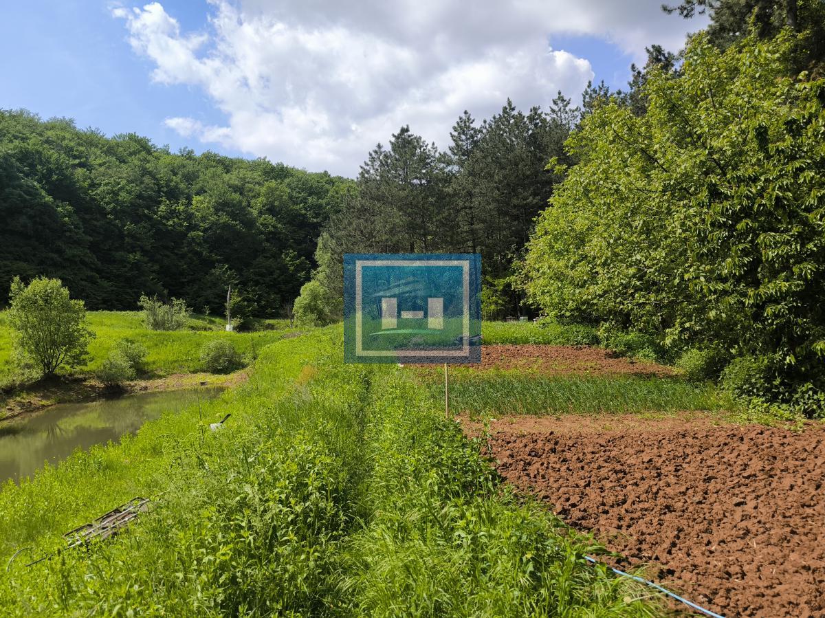 Kompletno opremljeno imanje 82 ara – dve kuće, bazen, ribnjaci, vinograd! 5