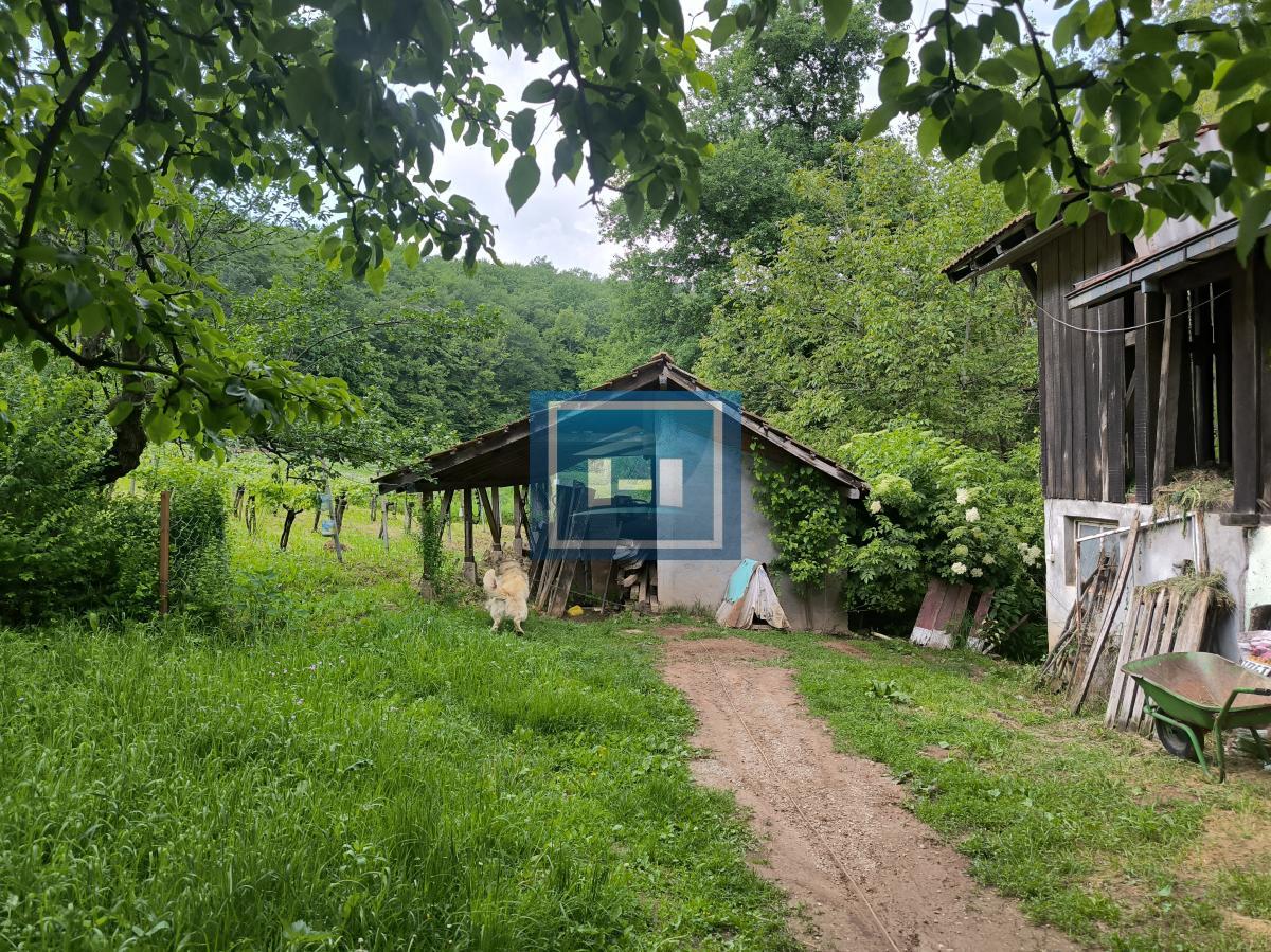 Kompletno opremljeno imanje 82 ara – dve kuće, bazen, ribnjaci, vinograd! 13