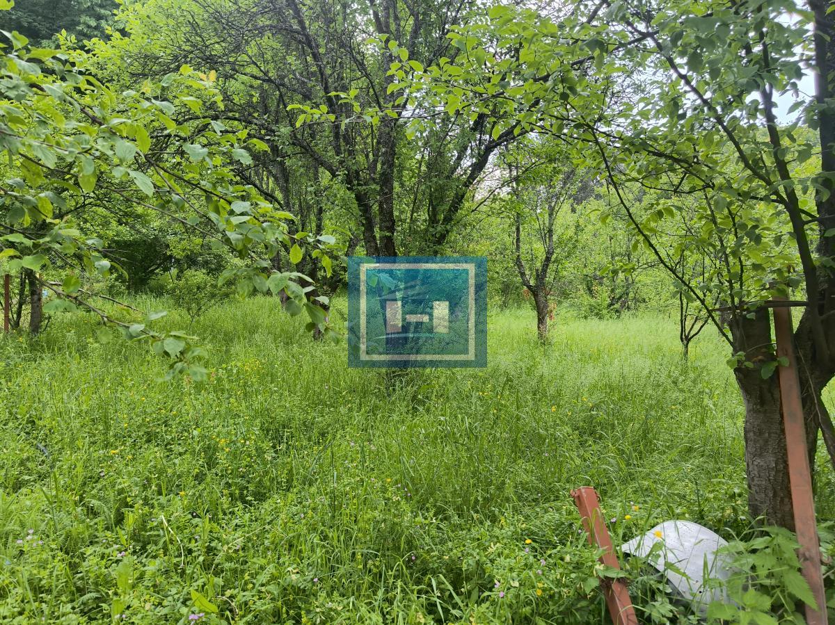 Kompletno opremljeno imanje 82 ara – dve kuće, bazen, ribnjaci, vinograd! 14