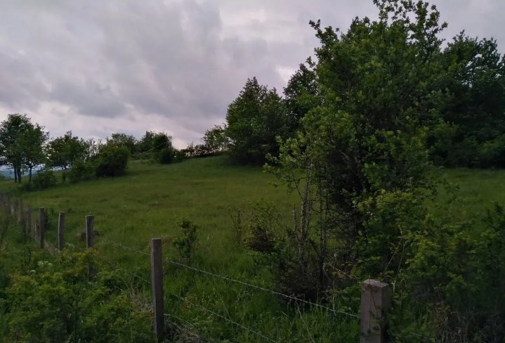 Tara Tarabici 14 6ari 3