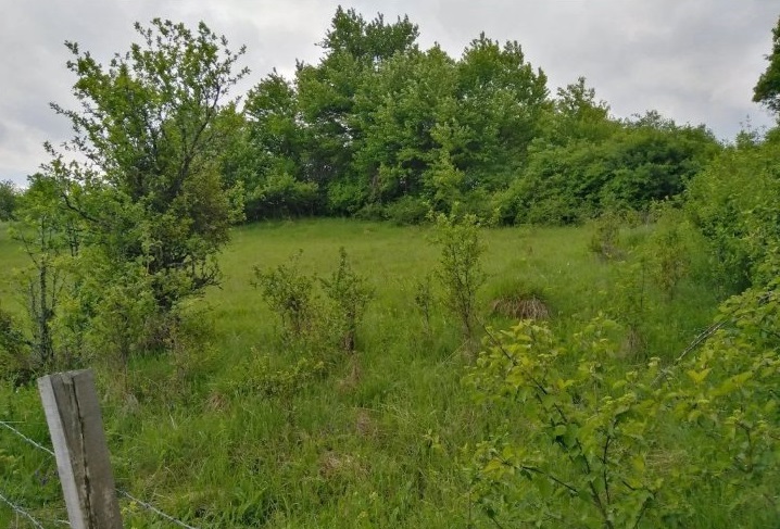 Tara Tarabici 14 6ari 5