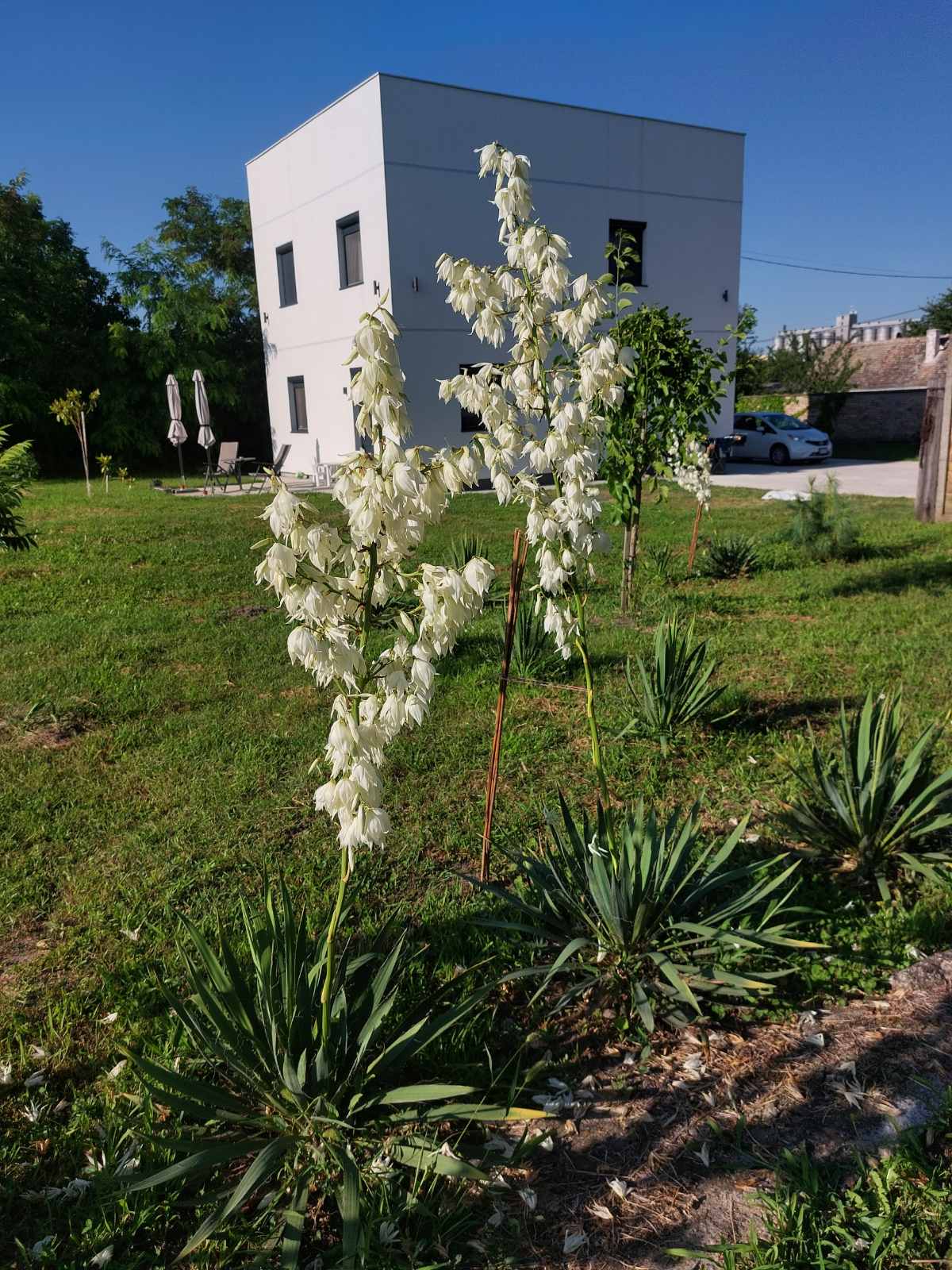 Deliblatska Peščara RAJ NA ZEMLJI   DVE KUĆE   30 ARI GRADSKOG GRADJEVINSKOG ZEMLJIŠTA 2