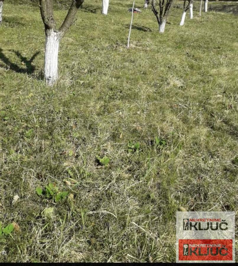 Popovica,13 ari,plac+3 ara puta 2