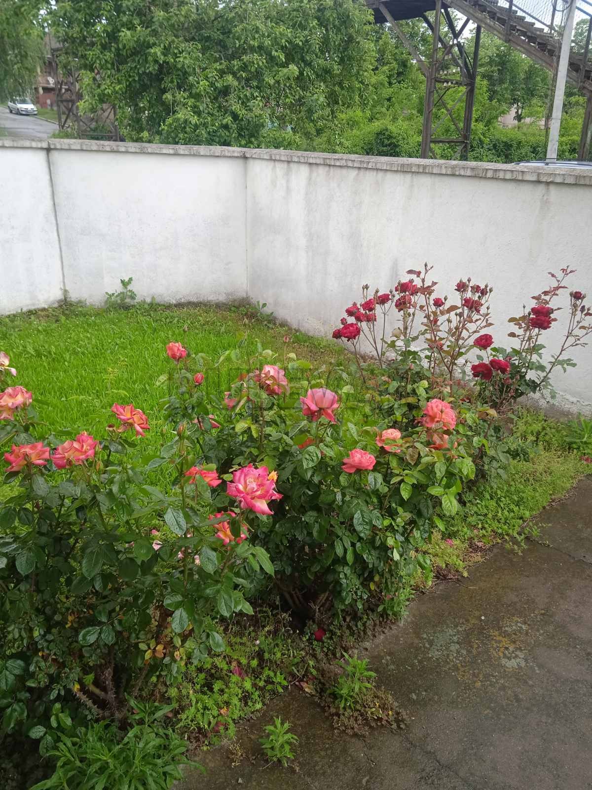 četvorosobna kuća, 220 m2, Kragujevac, Stojana Protića ID: p-014032 3