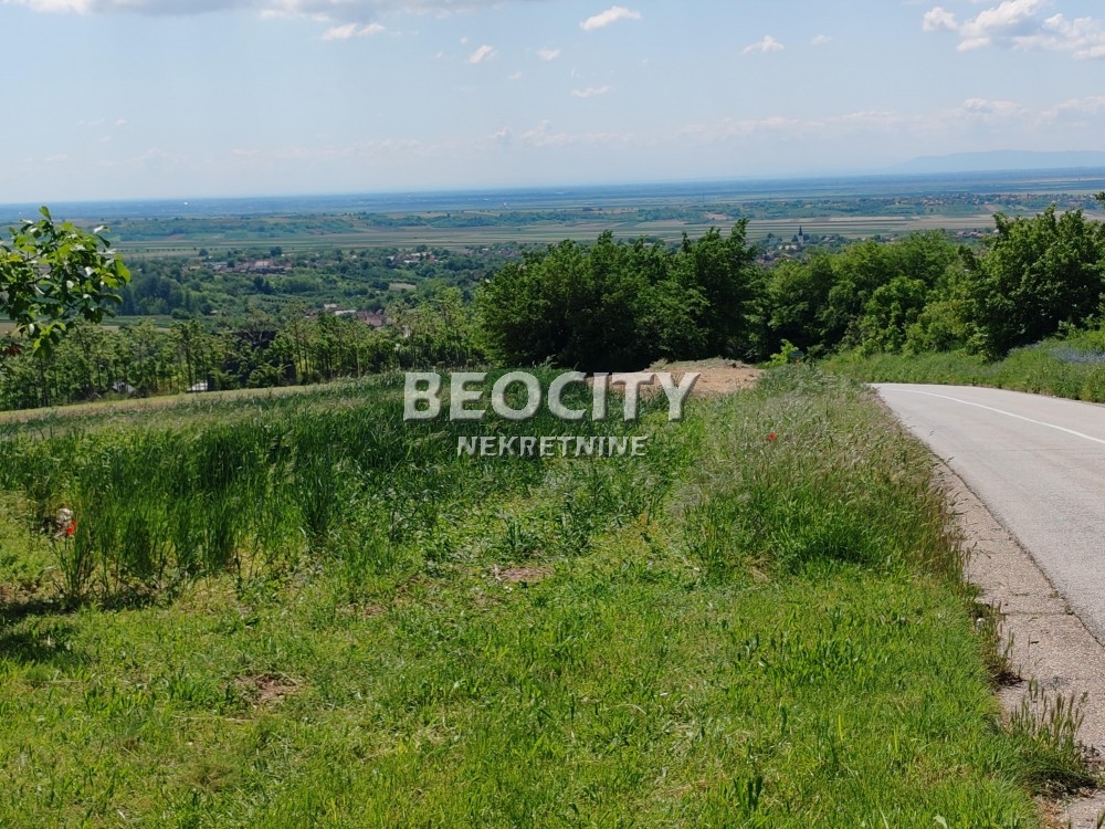 Plac, Fruškogorska ID: 118622 1