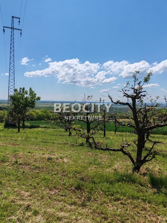 Plac, Fruškogorska ID: 118622 2