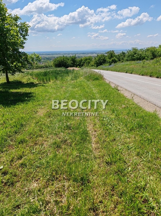 Plac, Fruškogorska ID: 118622 7