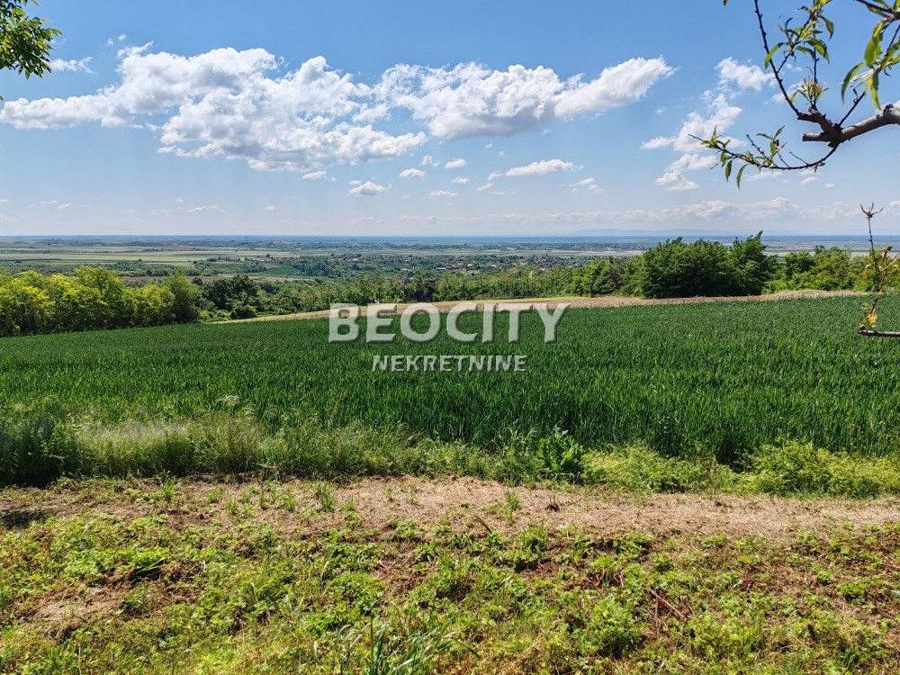 Plac, Fruškogorska ID: 118622 4
