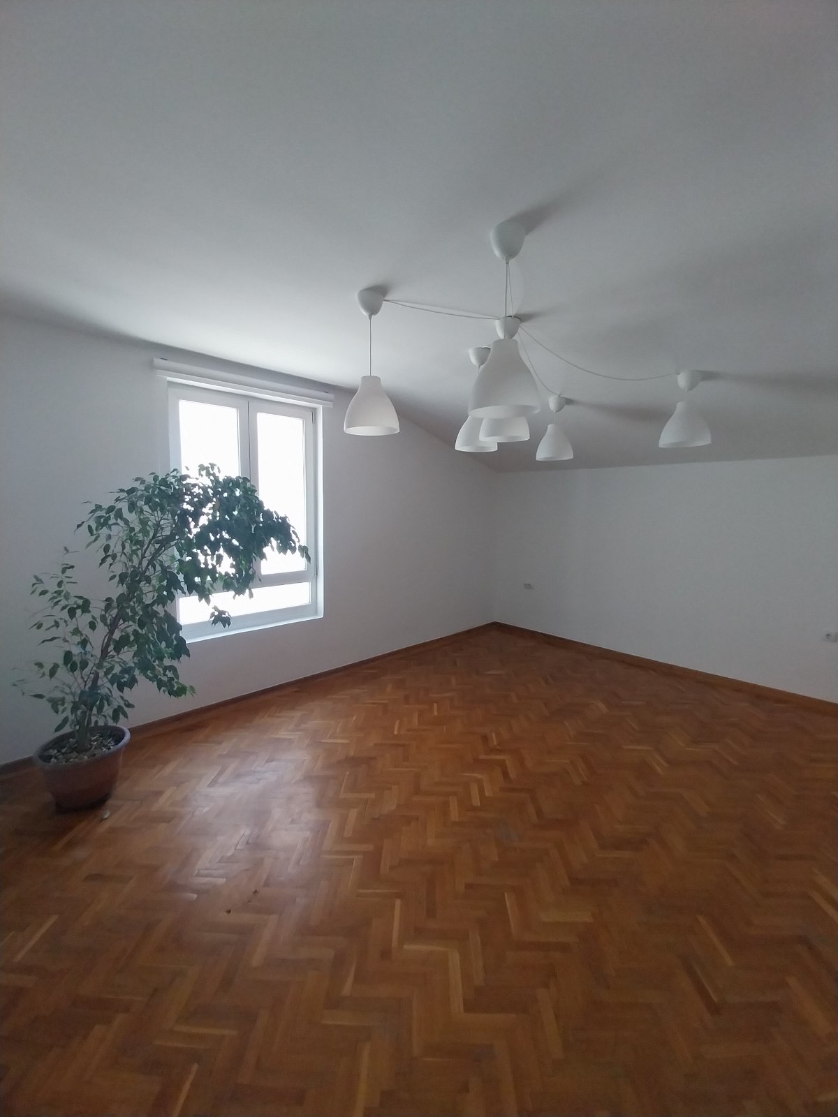 Luksuzan sedmosoban dupleks sa vrtom   Neimar  Beograd 9