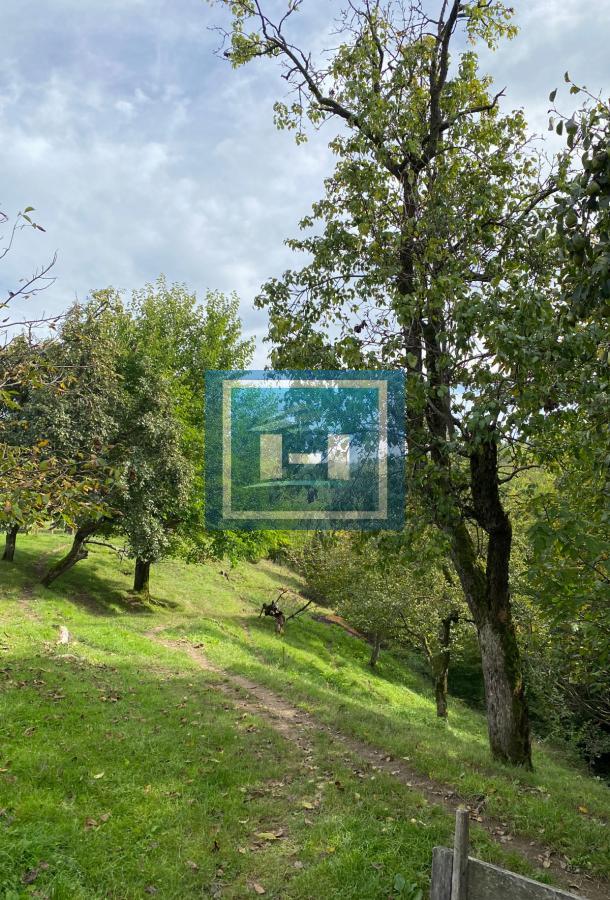 Na prodaju veliko imanje u okolini Vrnjačke Banje 2