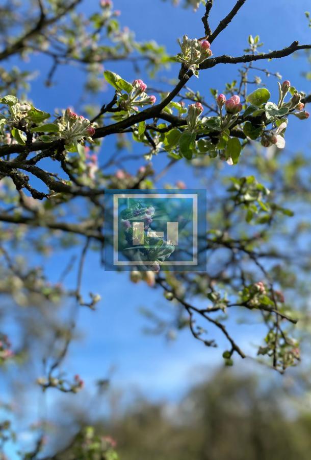 Na prodaju veliko imanje u okolini Vrnjačke Banje 4