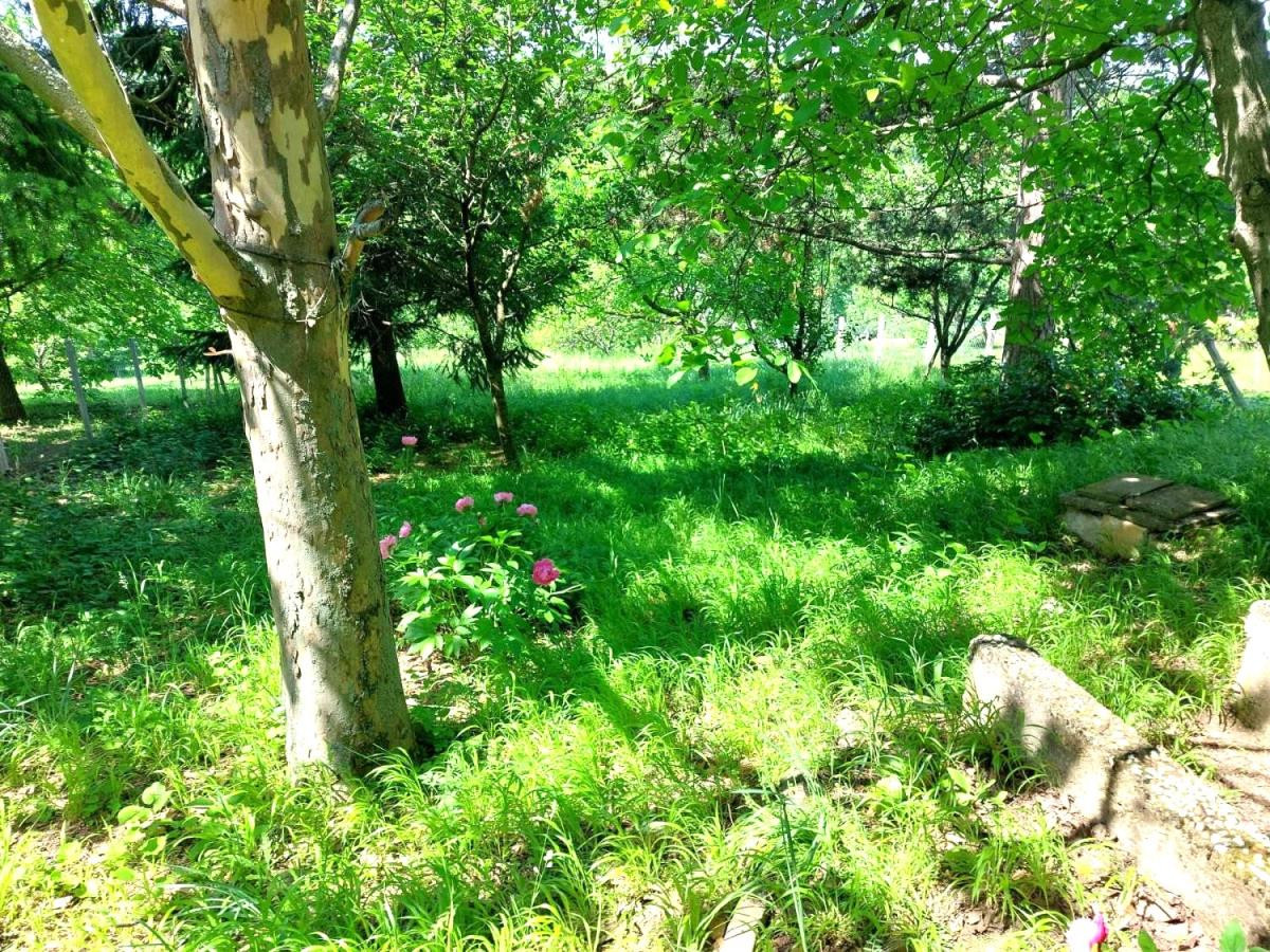 Kuca,ČORTANOVCI,ČORTANOVCI,kv: 1639, € 57000, ID: 3002140 4