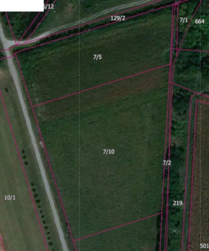 Zemljiste plac 55ari Voganj Ruma 1