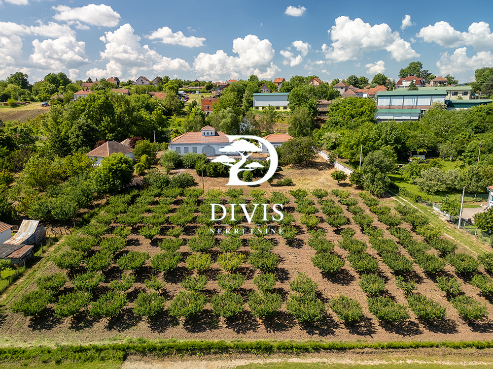 Sopot Mala Ivanča  kuća sa bazenom  200m2 plac 47a 5