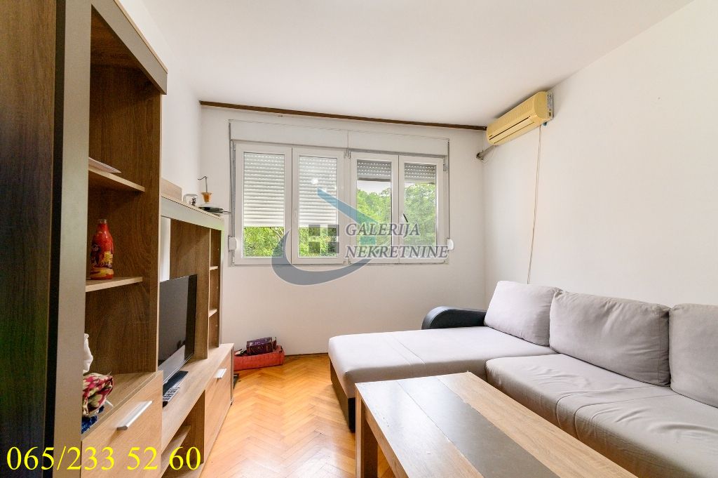 Palilula  Karaburma   Salvadora Aljendea 66m2 1