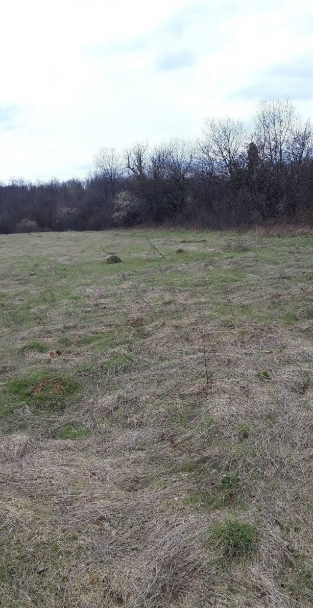 Prodajem placeve na Ravnoj Gori 2