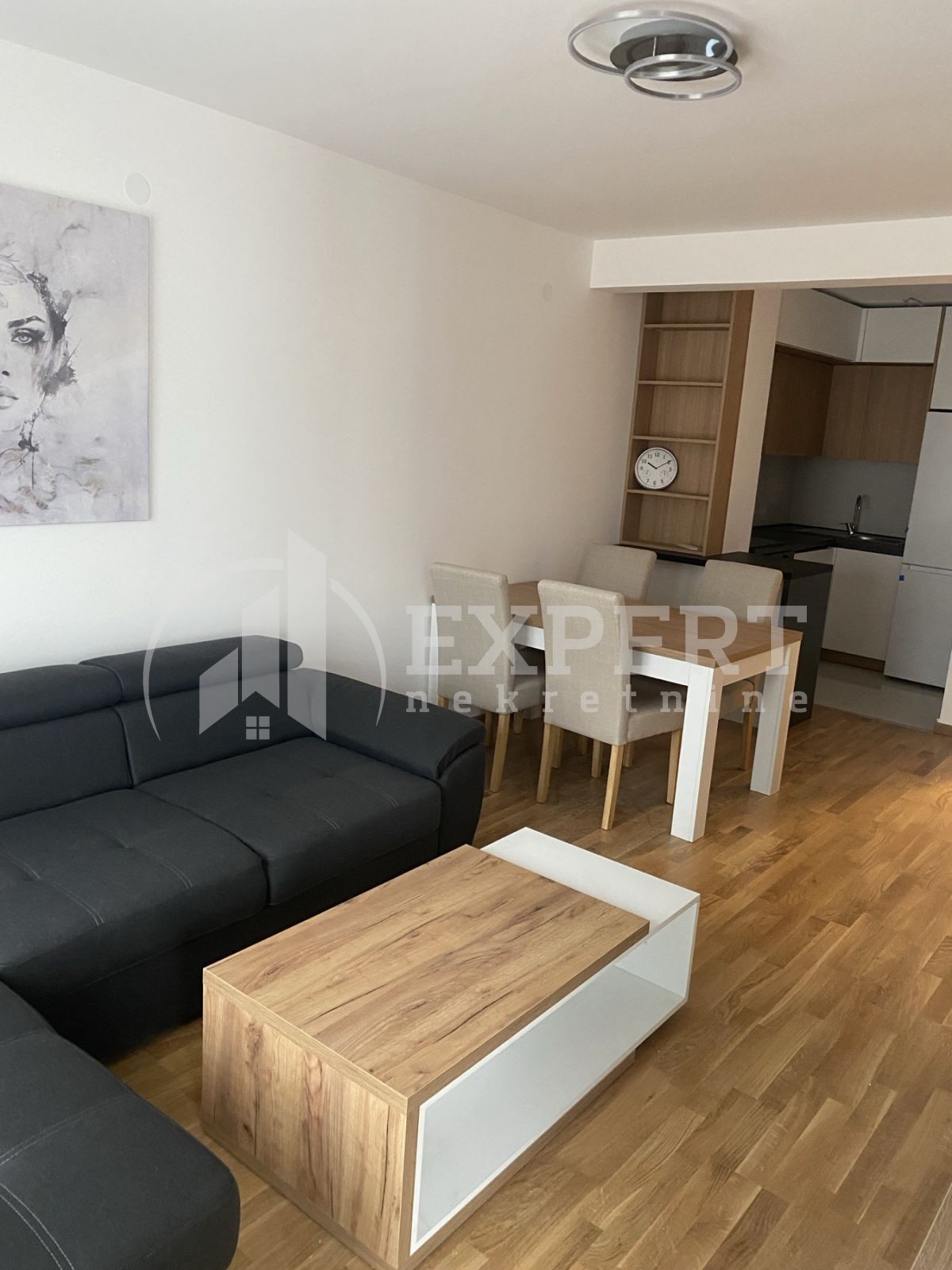 Jednosoban stan, 49 m2, Centar, Cvijićeva ID: i-014083 3