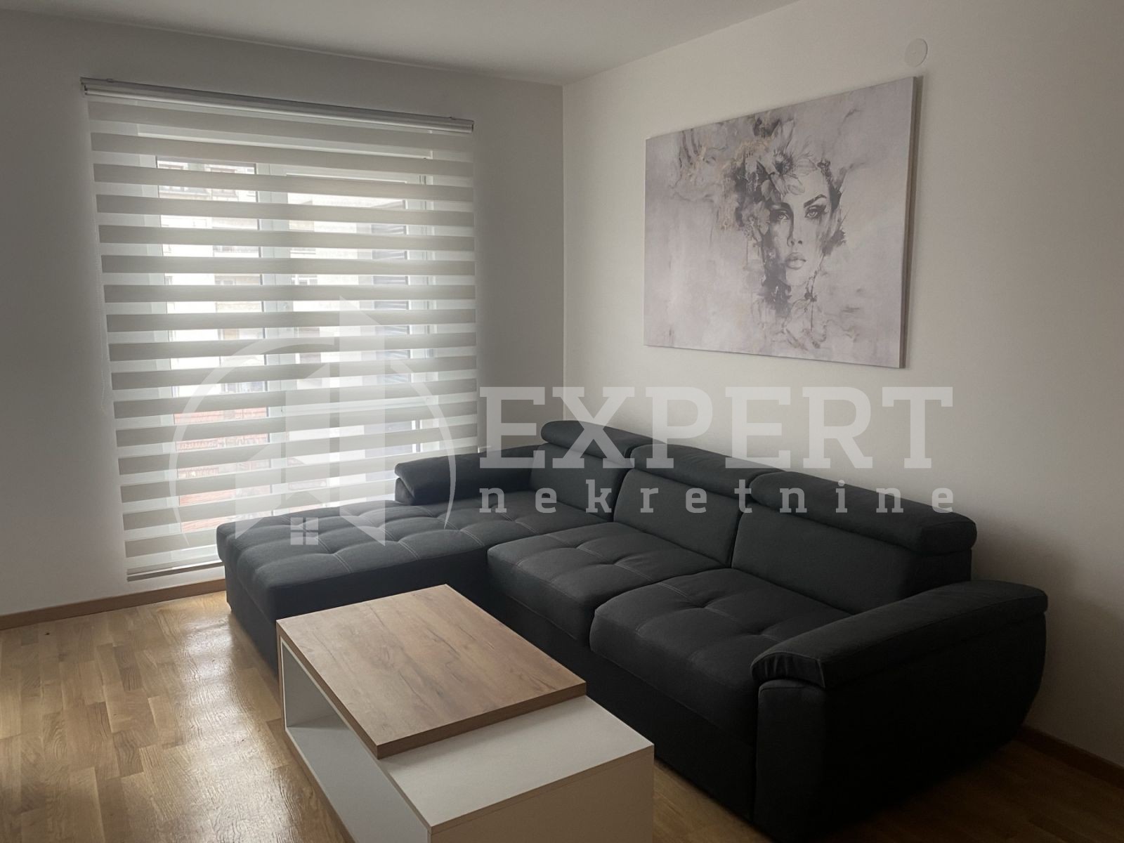Jednosoban stan, 49 m2, Centar, Cvijićeva ID: i-014083 5