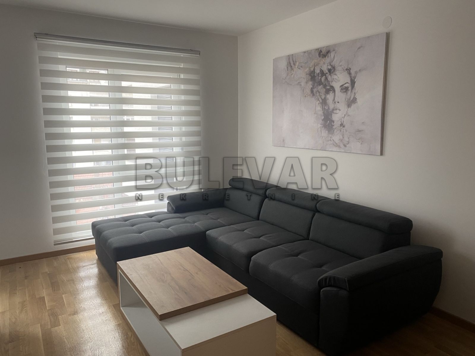 Jednosoban stan, 49 m2, Centar, Cvijićeva ID: i-014083 5