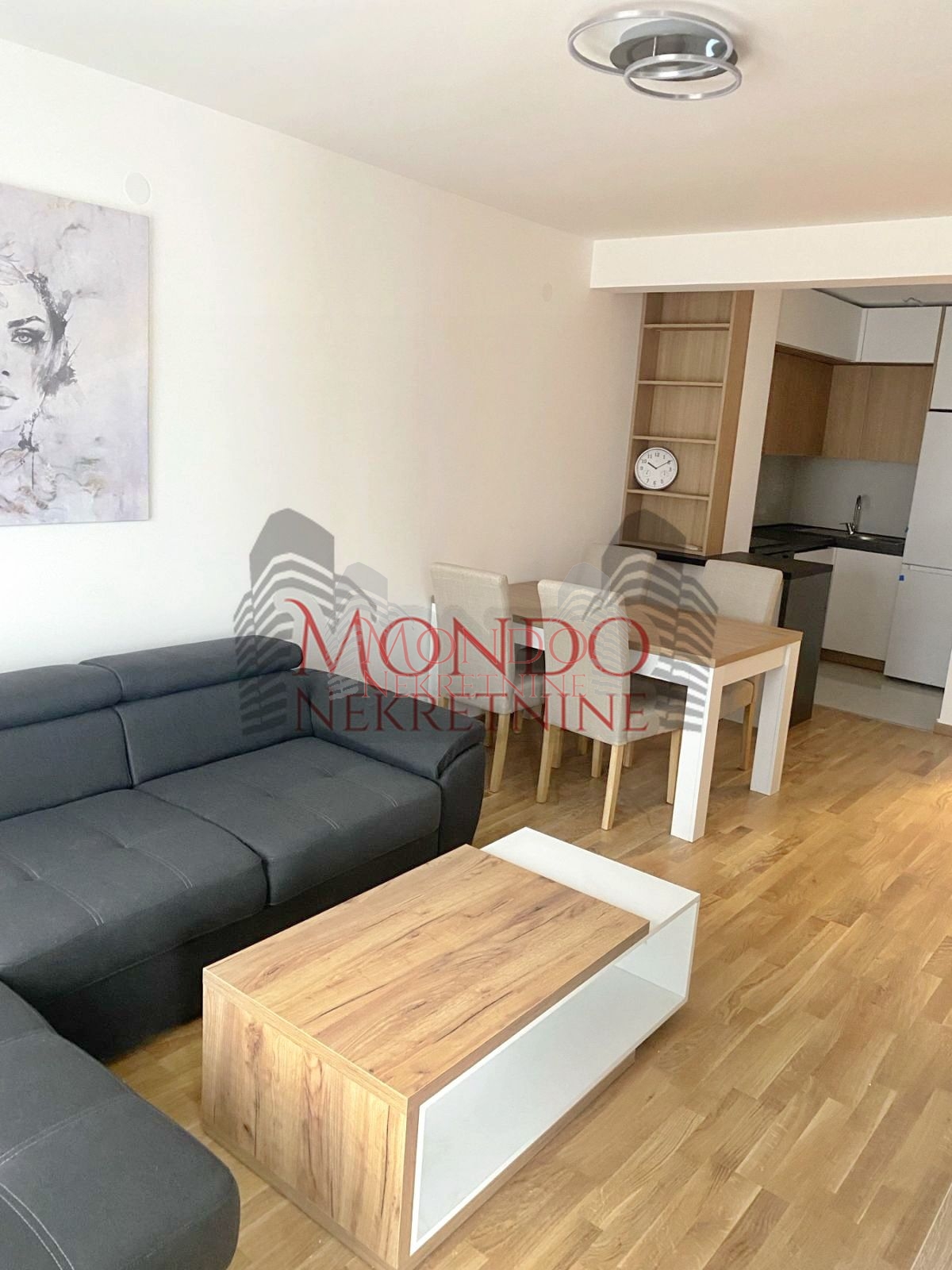 Luks jednoiposoban stan kod Doma zdravlja 4