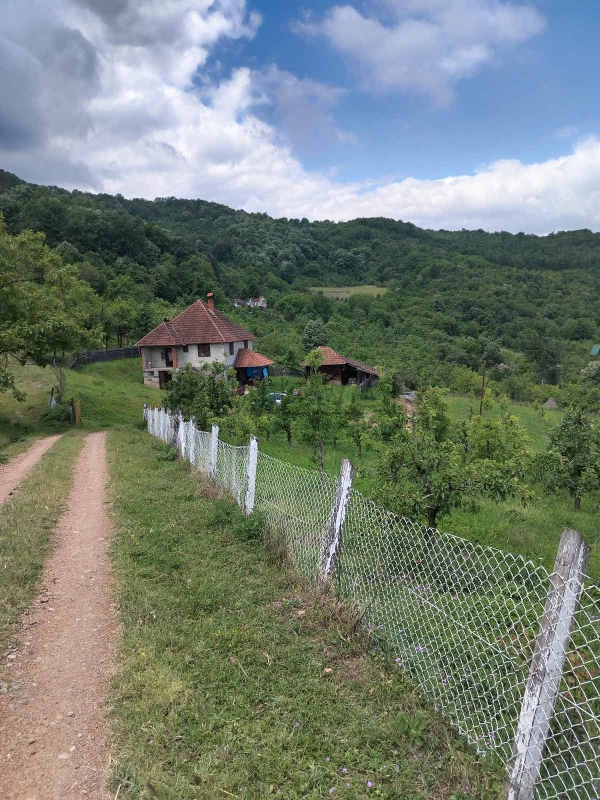četvorosobna kuća, 160 m2, Pajsijević, Pajsijević ID: p-014121 11