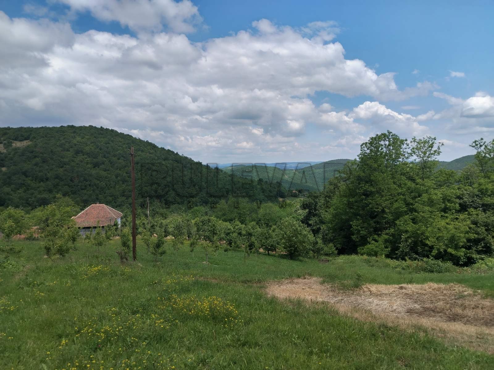 četvorosobna kuća, 160 m2, Pajsijević, Pajsijević ID: p-014121 12