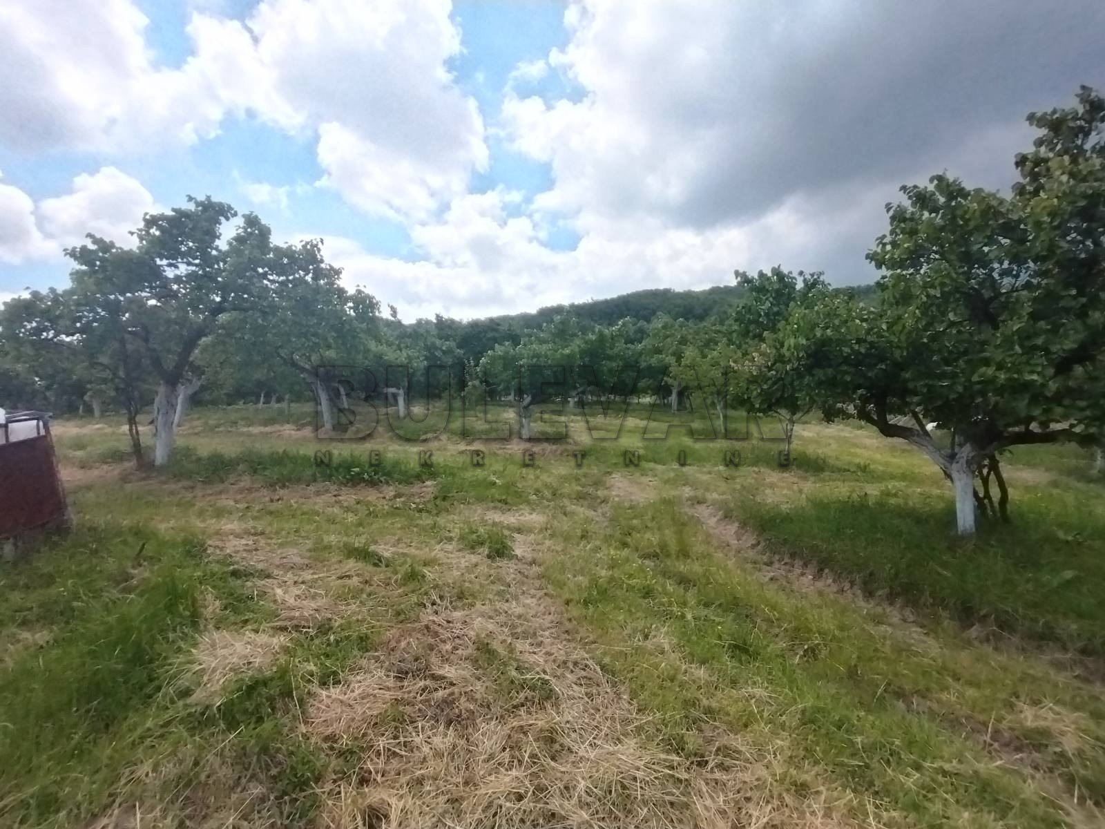 četvorosobna kuća, 160 m2, Pajsijević, Pajsijević ID: p-014121 9