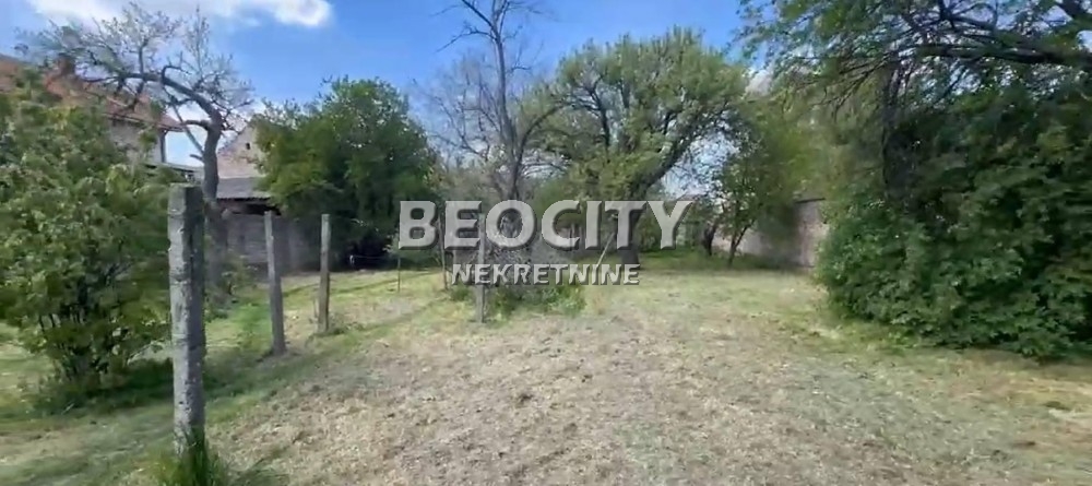 Plac, Margita, Knićaninova ID: 119131 2