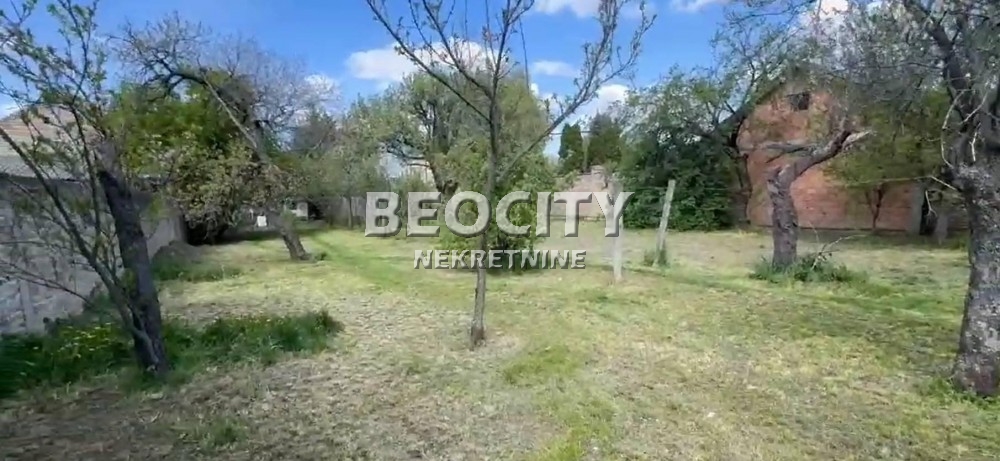 Plac, Margita, Knićaninova ID: 119131 3