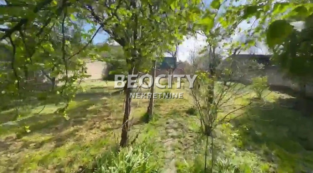 Plac, Margita, Knićaninova ID: 119131 4