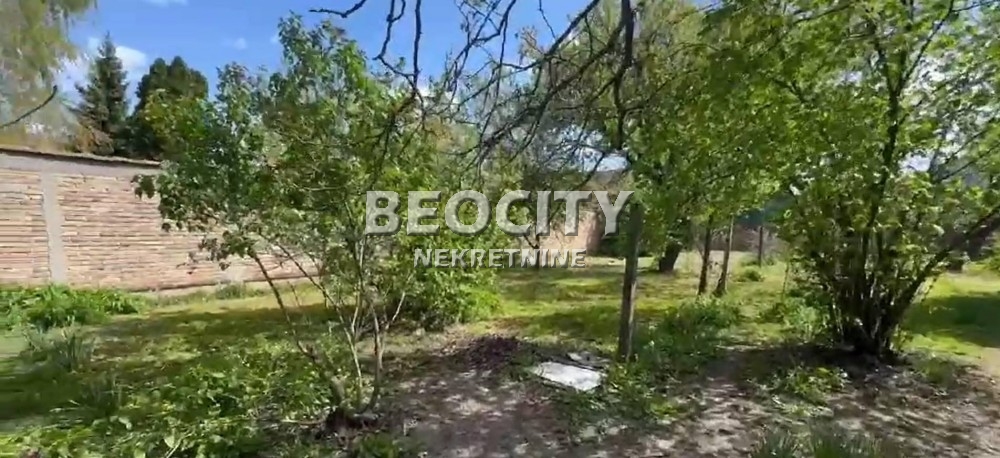 Plac, Margita, Knićaninova ID: 119131 5