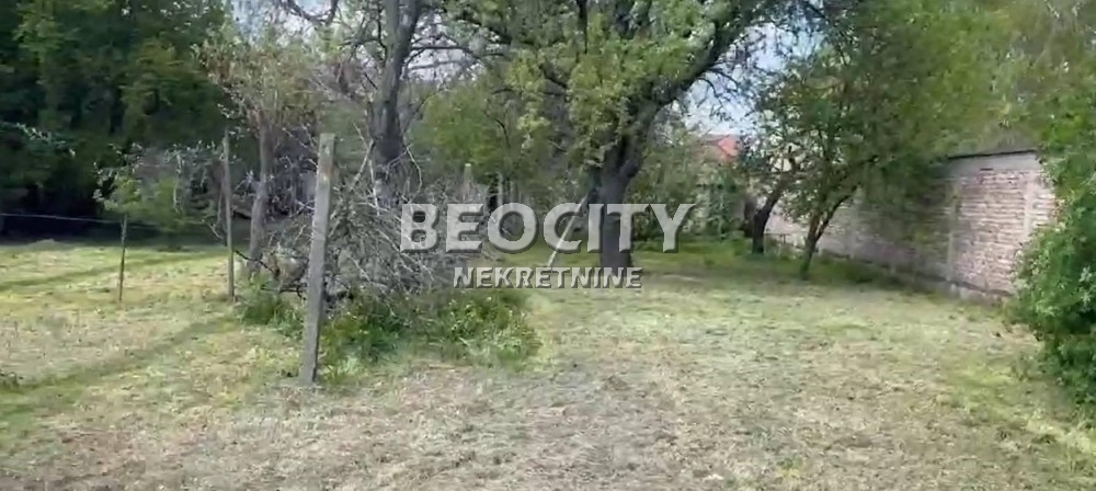 Plac, Margita, Knićaninova ID: 119131 6