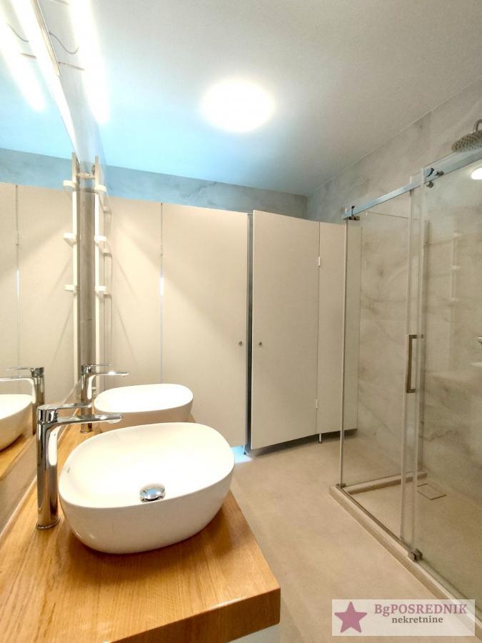 Stari grad, Zeleni venac, Carice Milice, 139m2 15