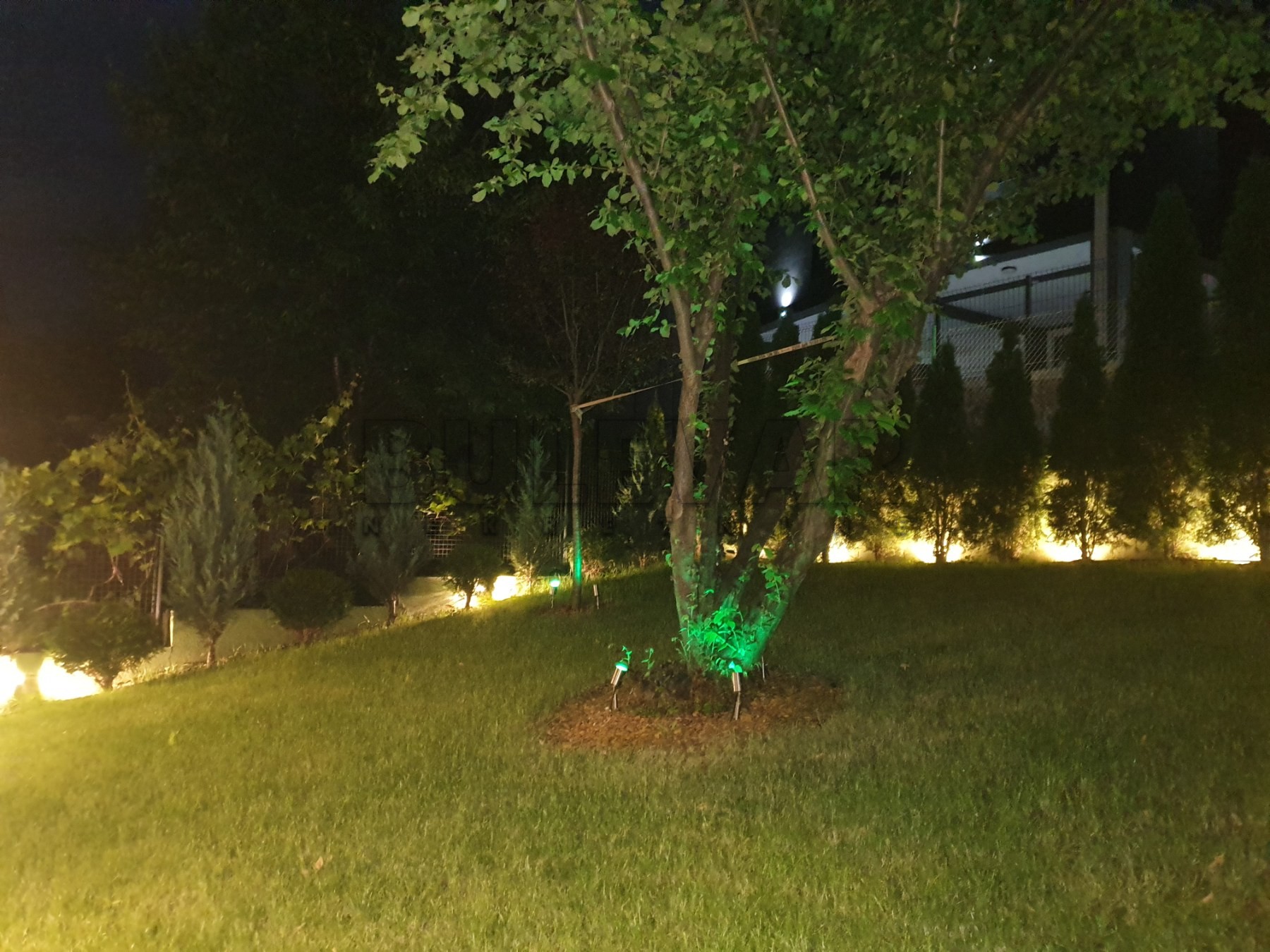 četvorosobna kuća, 330 m2, Palilula, Durmitorska ID: p-014147 25