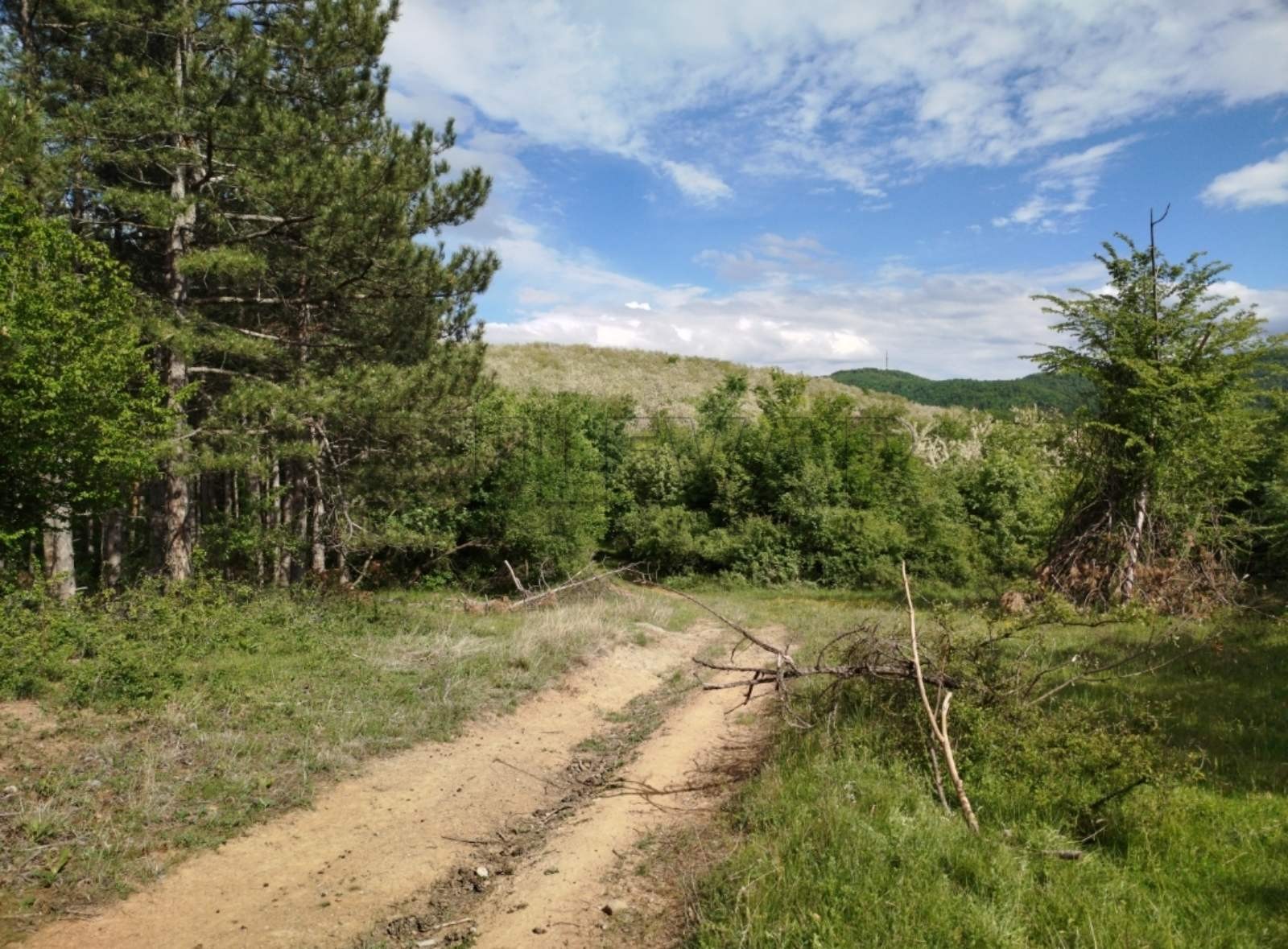 Plac, Palilula, Berbatovo ID: p-014157 1