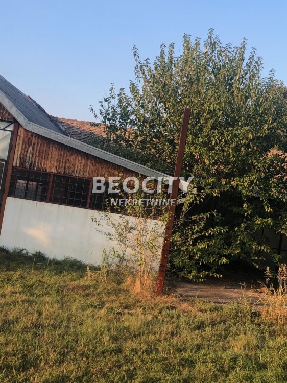 Plac, Obrenovac, Tomica polje ID: 119299 10