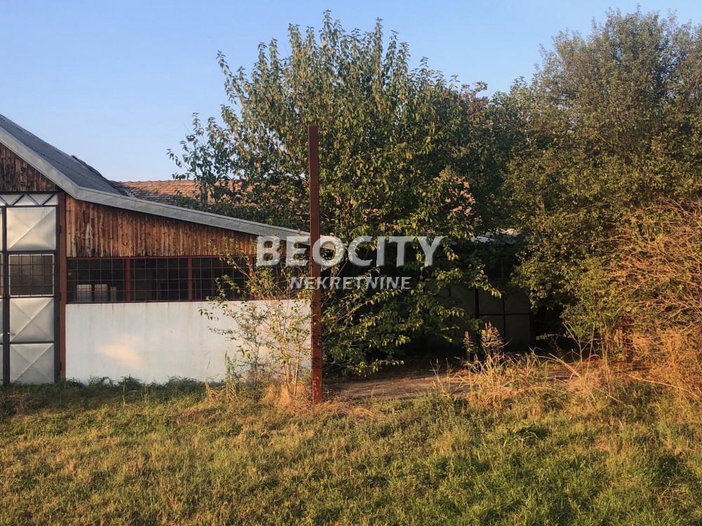 Plac, Obrenovac, Tomica polje ID: 119299 8