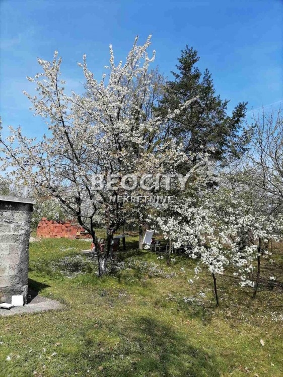 Plac, Barajevo, Dečanska ID: 119393 4