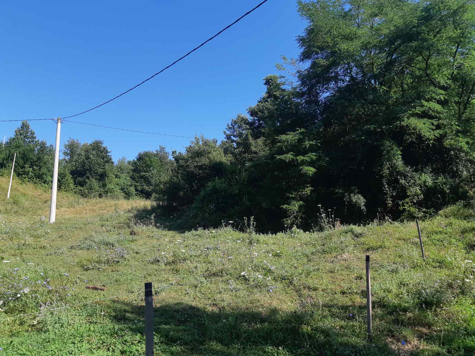 HITNO prodajem imanje u selu Zivica Lucani 3