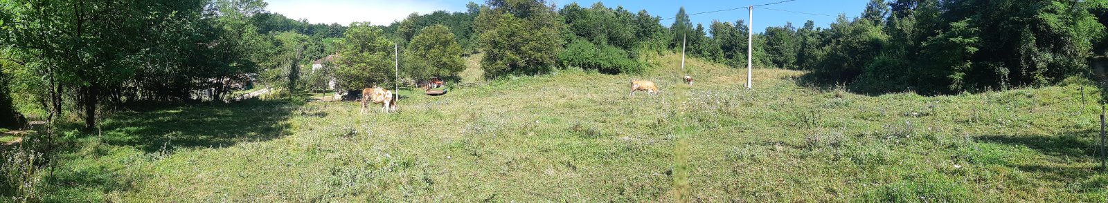 HITNO prodajem imanje u selu Zivica Lucani 5