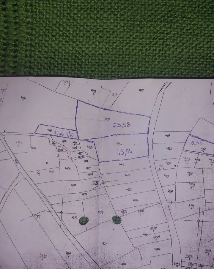 Vidikovac njiva pored magistralnog puta Smed Palanka Raca 5