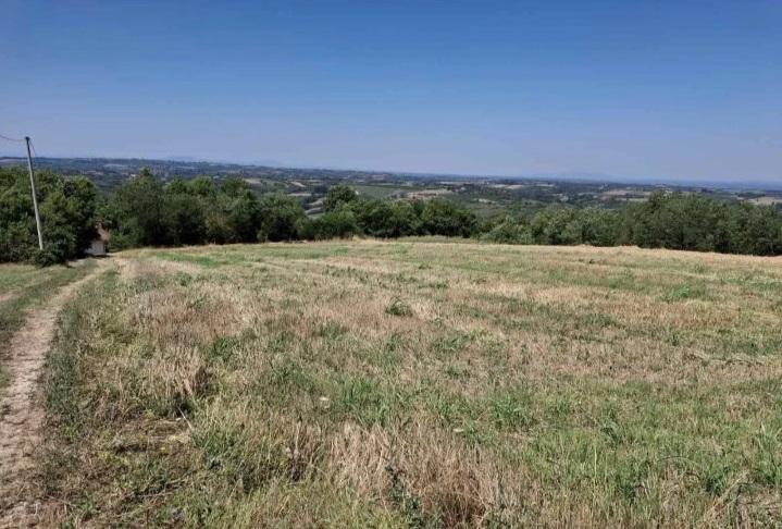 Vidikovac njiva pored magistralnog puta Smed Palanka Raca 2