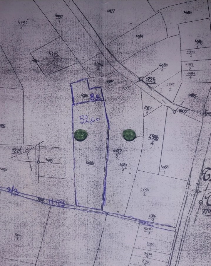 Prodajem zasad lesnika 5