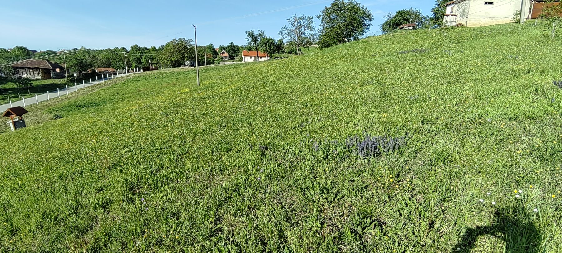 Placevi povoljno Jabucje Kragujevac 3