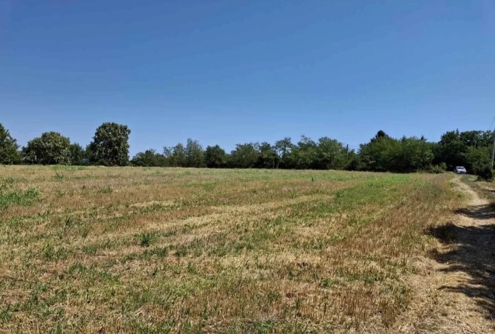 Vidikovac njiva pored magistralnog puta Smed Palanka Raca 4