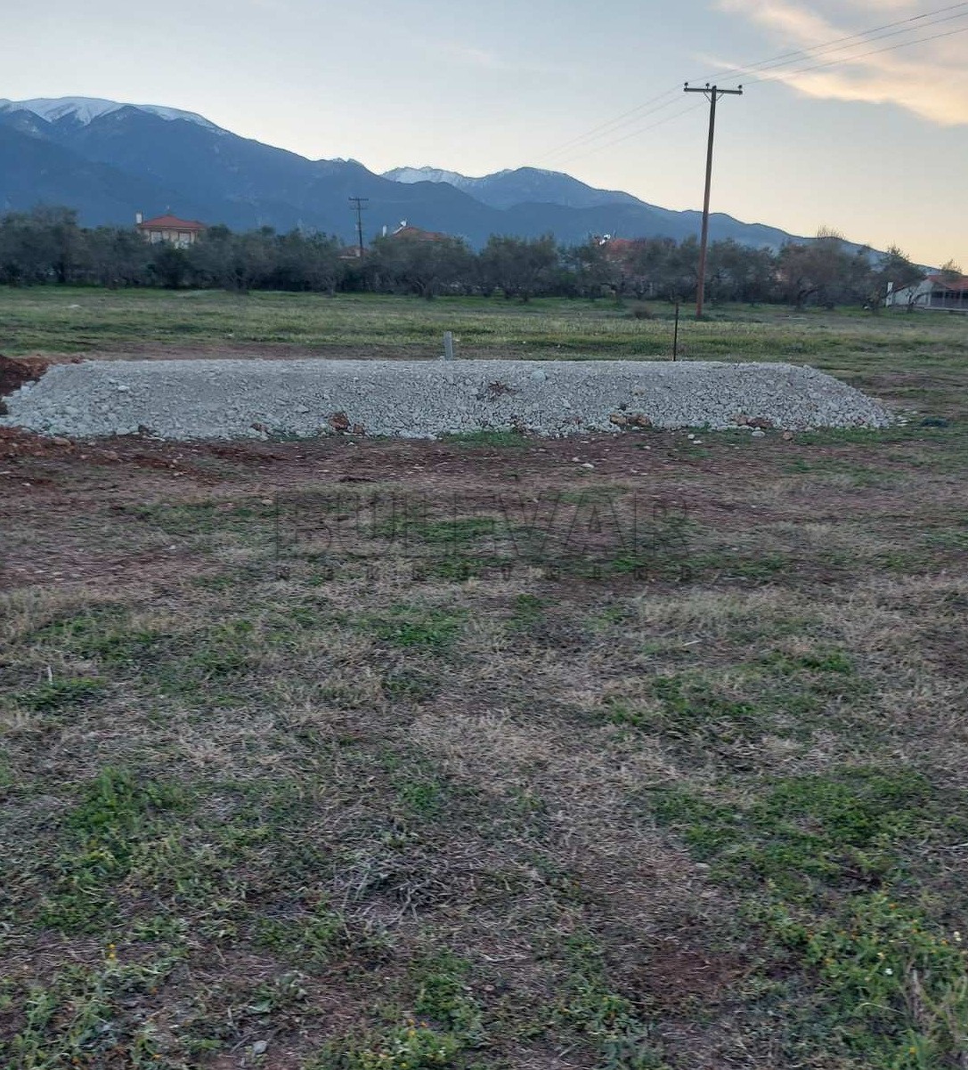 Plac, Centar, Balkanska ID: p-014236 5