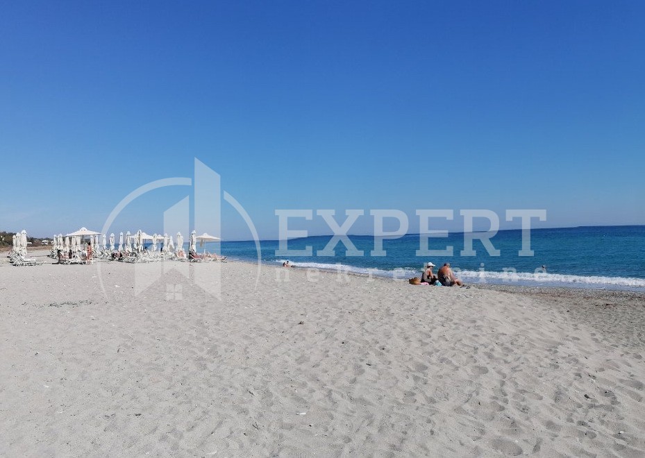 Plac, Centar, Balkanska ID: p-014236 7