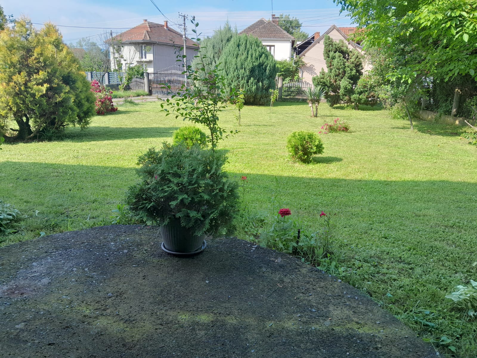 Kuca i plac opstina Vlasotince 3