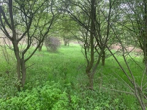 Plac Vlaska Mladenovac 33 58ari 2